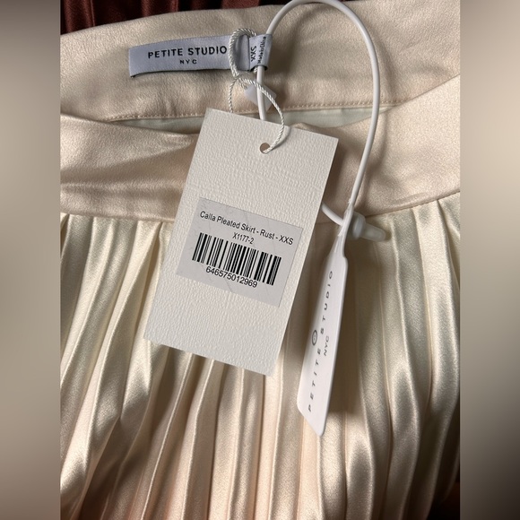 Petite Studio Calla Pleated Skirt in Rust, size XXS - Picture 13 of 16